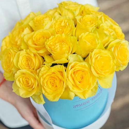 25 желтых роз в шляпной коробке